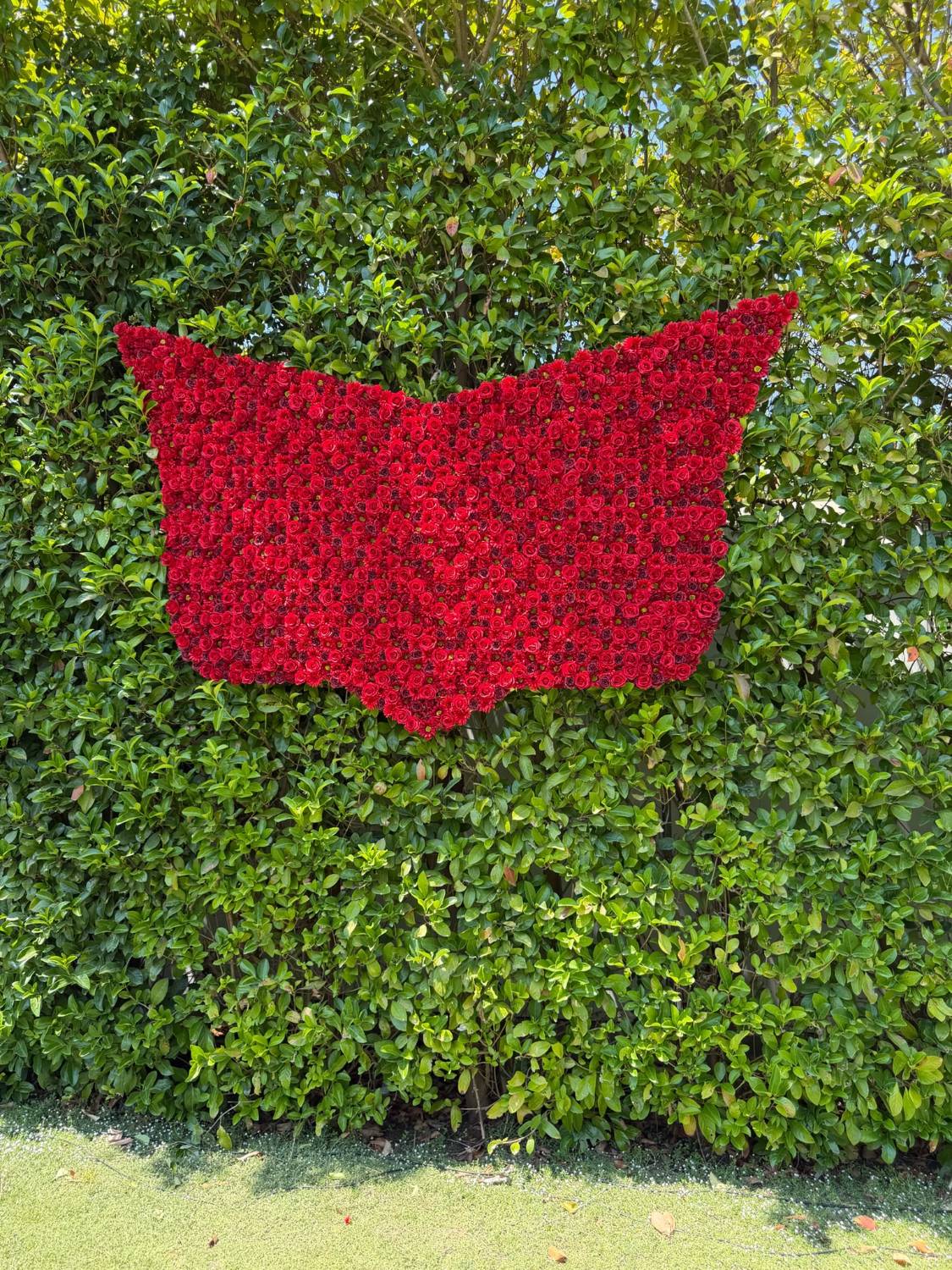 The client's mark built as a wall of red roses against a green hedge